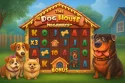 The Dog House Megaways: мультипликаторы, фриспины и почему слот «зашёл» хайроллерам